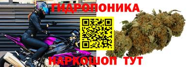 тгк Кулебаки