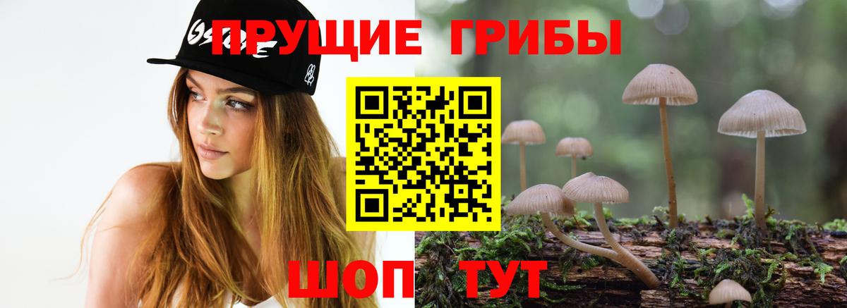 Псилоцибиновые грибы Magic Shrooms Камышлов